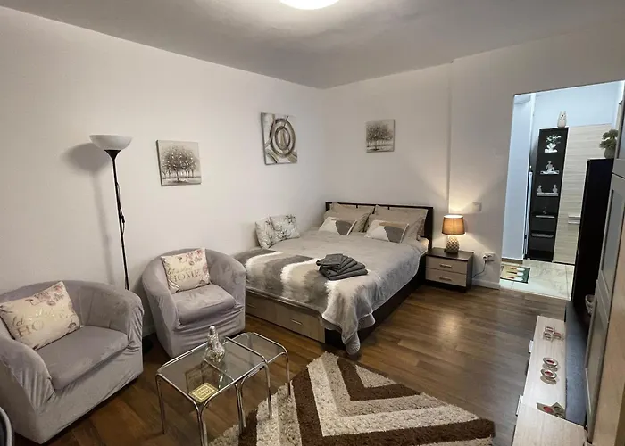 Studio Cozy - Calea Mosilor