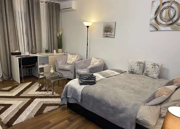 Studio Cozy - Calea Mosilor